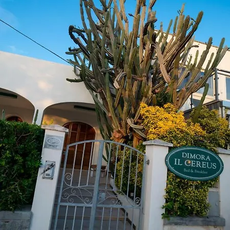 Dimora Il Cereus Vendégház