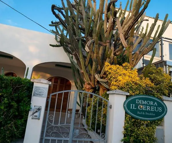 Dimora Il Cereus Pensionat