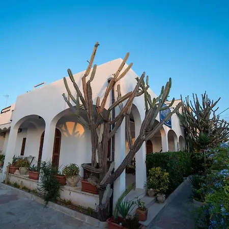 Dimora Il Cereus 산포카