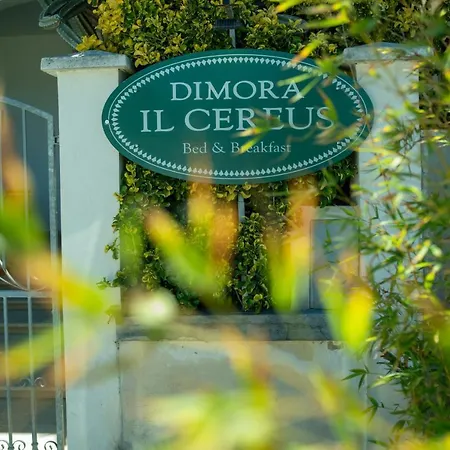Dimora Il Cereus