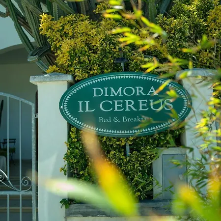 Dimora Il Cereus 게스트하우스