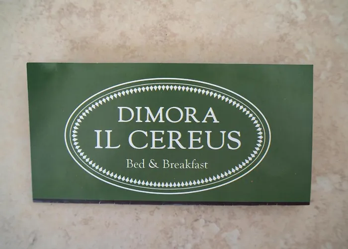 Dimora Il Cereus Guest house