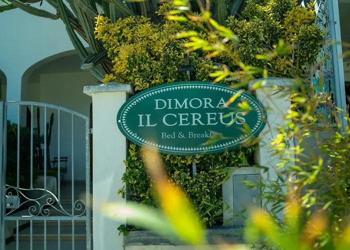 Dimora Il Cereus Casa de hóspedes